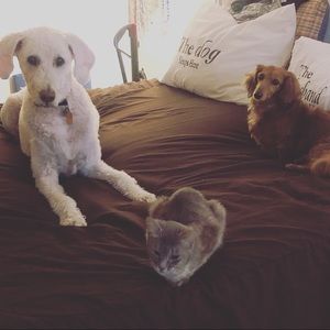 Meet your Posher, Lori